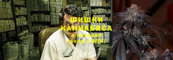 мяу мяу мука Белокуриха